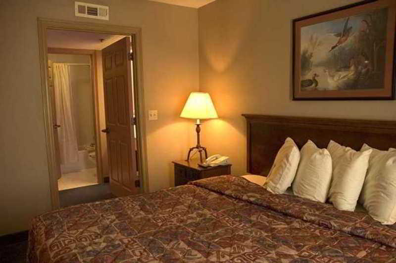 Homewood Suites By Hilton Houston-Clear Lake Webster Habitación foto